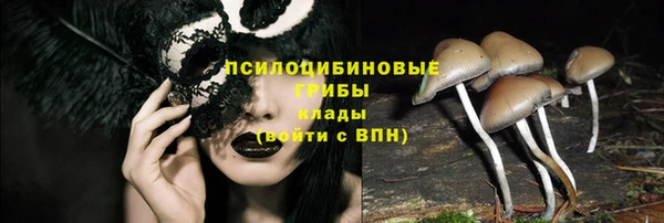 МДПВ Верея