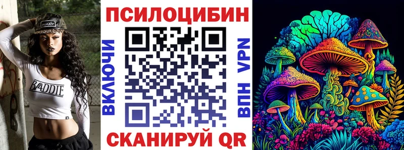 Галлюциногенные грибы GOLDEN TEACHER Каменногорск